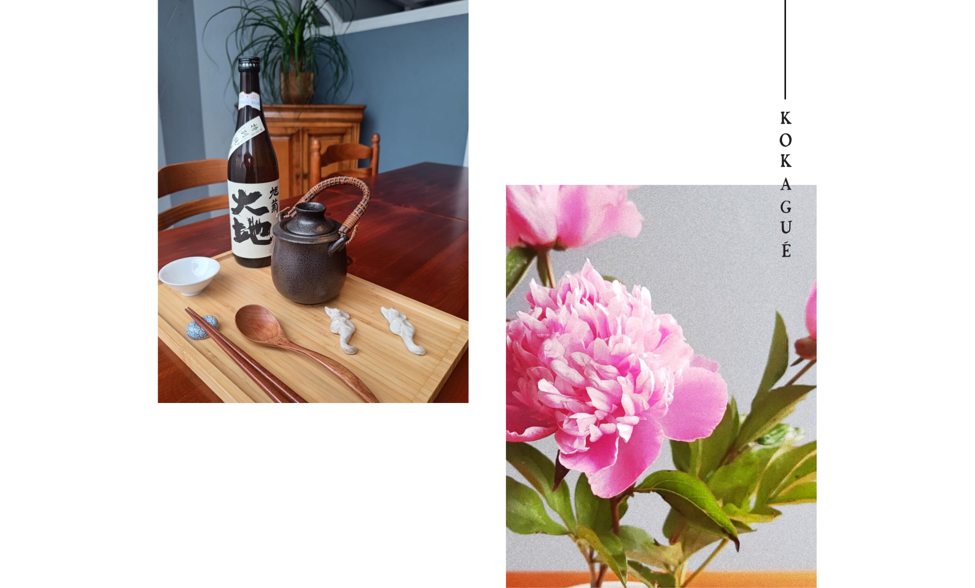 Restaurant japonais - Restaurant Jura - Restaurant Mouchard -  Le Comptoir Kokagué - restaurant sympa MOUCHARD