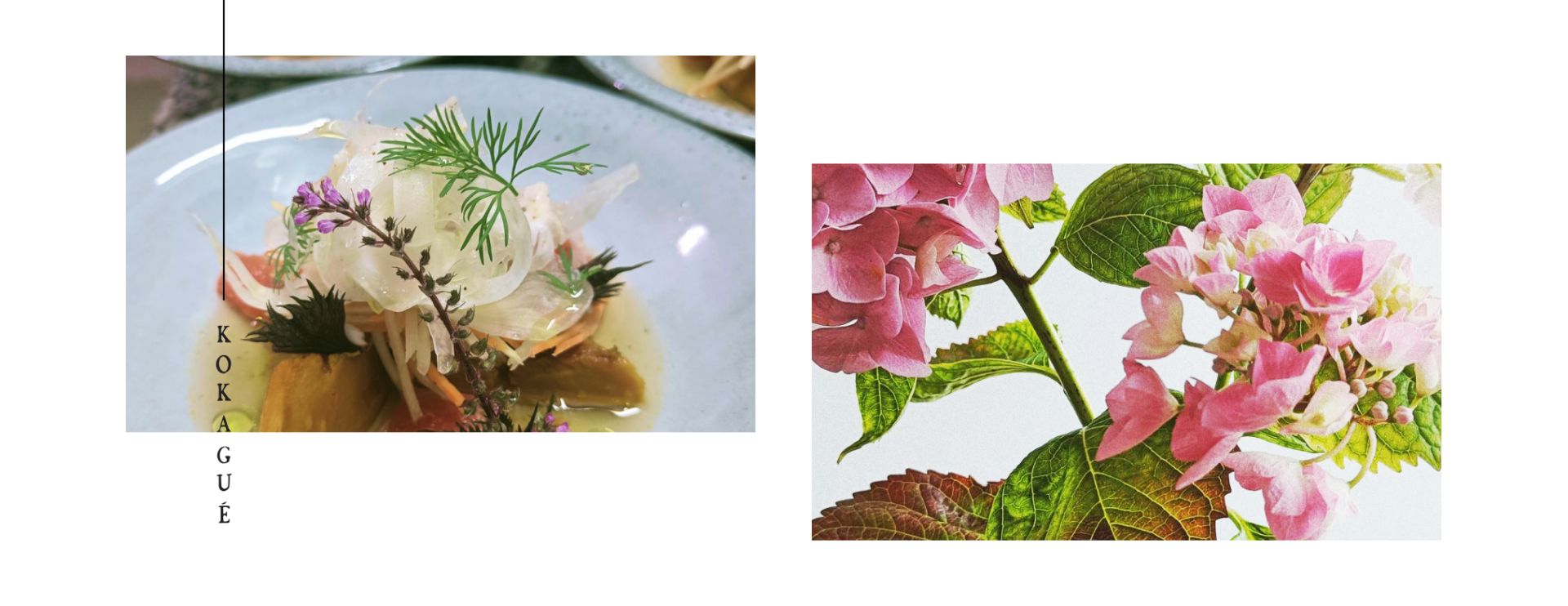 Restaurant Japonais Mouchard - Restaurant Gastronomique - Michelin Jura - restaurant MOUCHARD