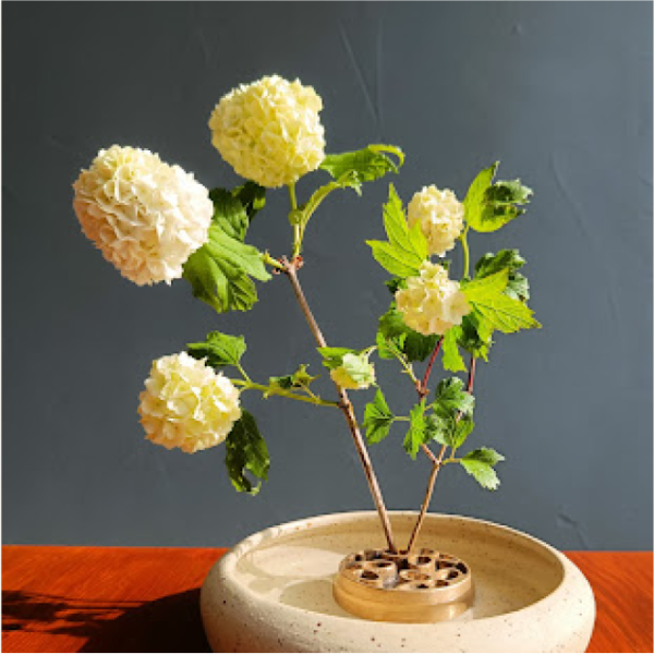 Restaurant japonais - Restaurant Jura - Restaurant Mouchard -  Le Comptoir Kokagué - bon restaurant MOUCHARD